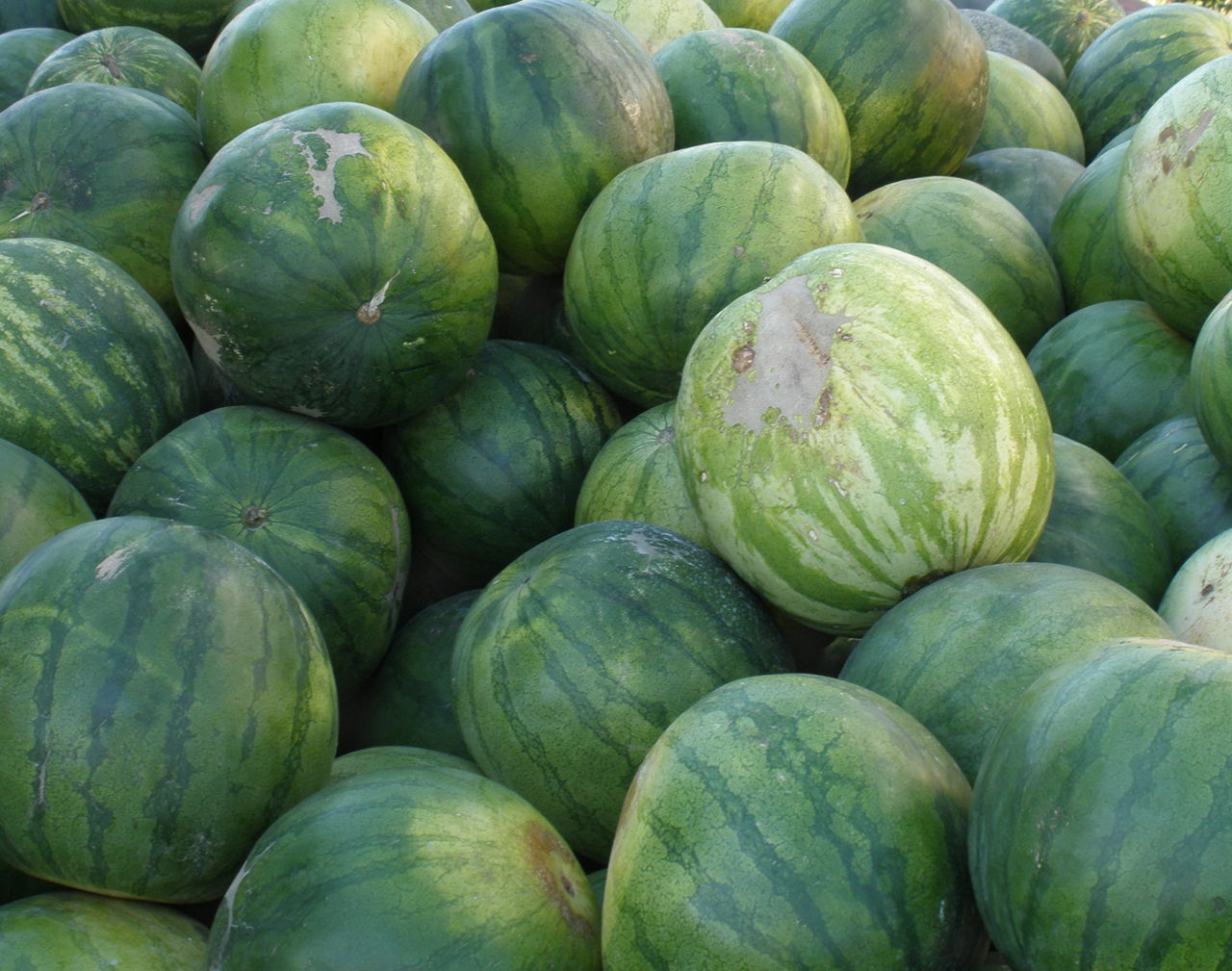 watermelon